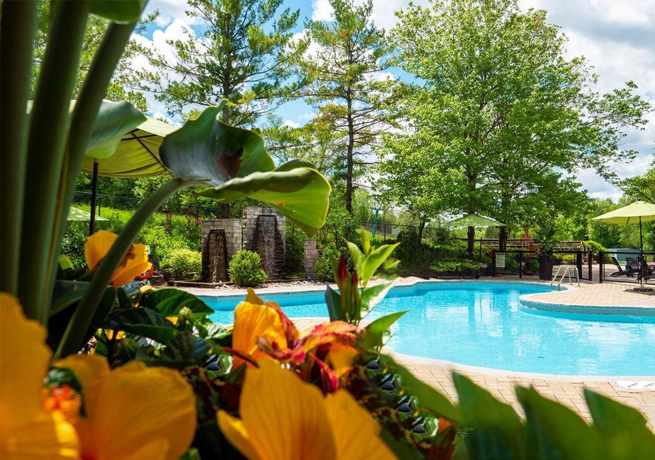 Hockley Valley Resort Orangeville Luaran gambar